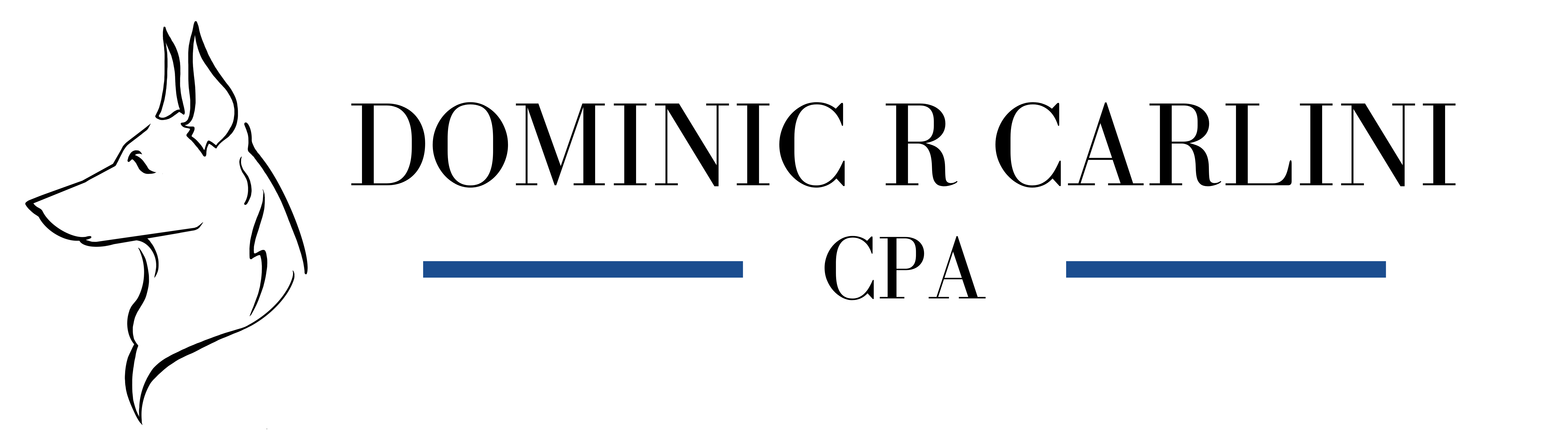 Dominic R Carlini CPA LLC